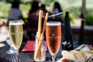 米卢，世界杯赛场上永不熄灭的火焰米卢曾经带领几支队伍参加过世界杯