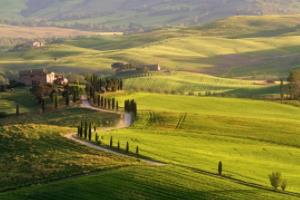 中国足球首次世界杯，历史的起点与挑战中国足球第一次世界杯